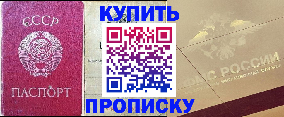 прописка для школы в Лосино-Петровском